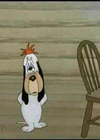 دروپی شوالیه