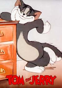 خوشگذرانی تام