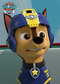 قسمت چهارم Pups Save a Rubble-Double