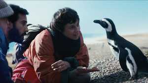 دانلود یا تماشا نسخه دوبله فارسی کامل فیلم دوست پنگوئن من My Penguin Friend