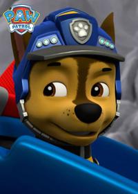 قسمت هفتم Dino Rescue Pups Save a Pterodactyl