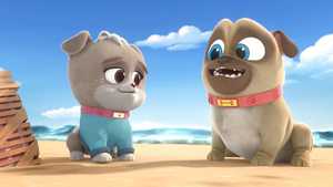 تماشای آنلاین انیمیشن سریالی موزیکال هاپوهای ماجراجو Puppy Dog Pals دوبله فارسی به صورت کامل