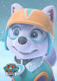 قسمت بیست و دوم The Pups' Winter Wonder Show