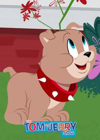 قسمت دوازدهم