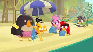 دانلود بهترین کیفیت فصل اول کارتون ماجراجویانه و کمدی پرندگان خشمگین : جنون تابستانی Angry Birds : Summer Madness با دوبله فارسی کامل