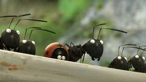 دره مورچه های گمشده Minuscule: Valley of the Lost Ants (2013)
