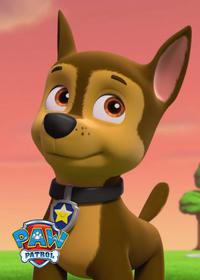 قسمت یازدهم Pups Save the Parrot