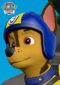 قسمت پانزدهم Ultimate Rescue Pups Save the Tigers