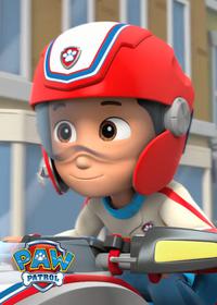 قسمت هشتم Pups Save Daring Danny X