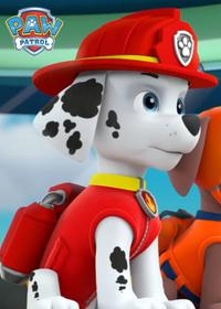 قسمت دوازدهم Pups Chill Out