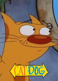 قسمت بیست و چهارم