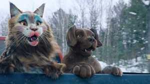 پخش آنلاین فیلم سینمایی گربه و سگ Cat and Dog 2023 دوبله فارسی با کیفیت بالا