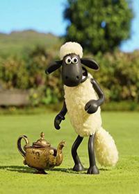 بیتزر پاشو میذاره وسط